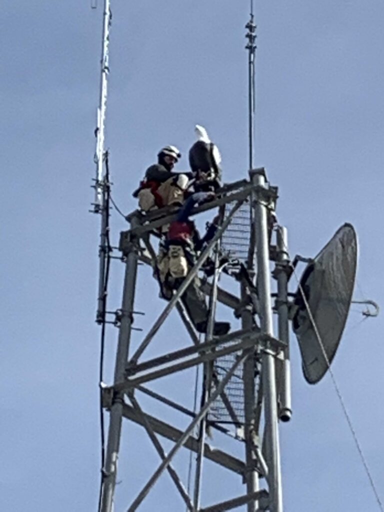 Bird Deterrent Technology - Man installing an eagle effigy on top of a communications tower