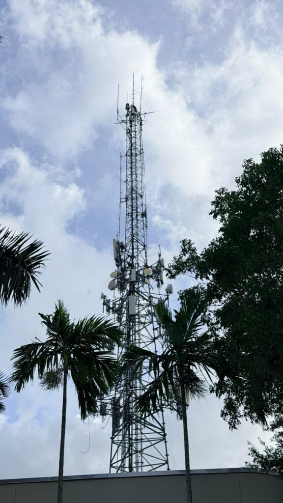 cell tower has been osprey free for 7 years