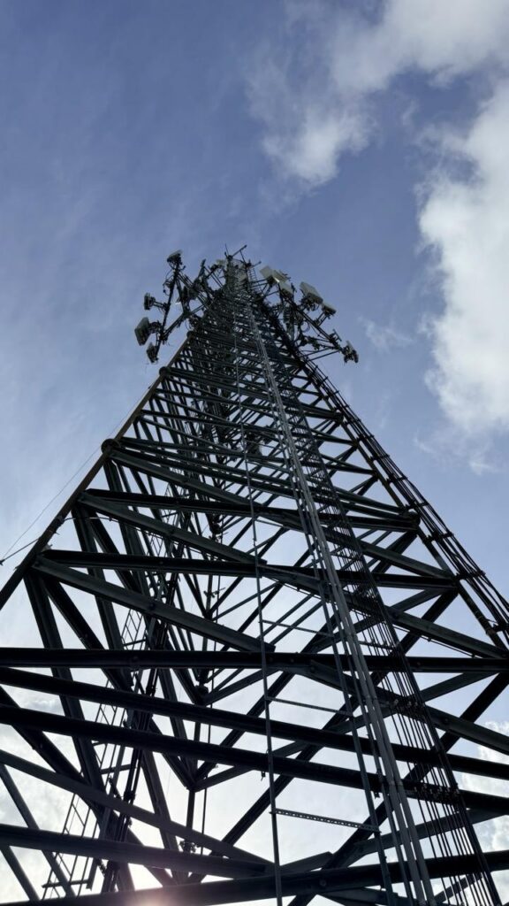 deter osprey from cell towers