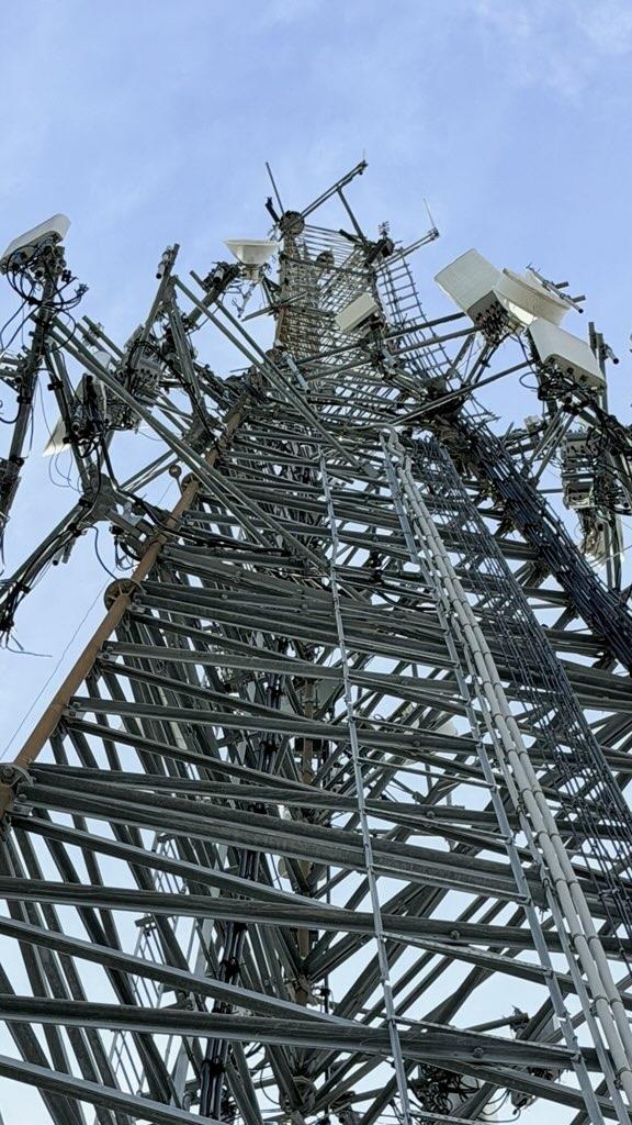 keep osprey off of cell towers for 7 years